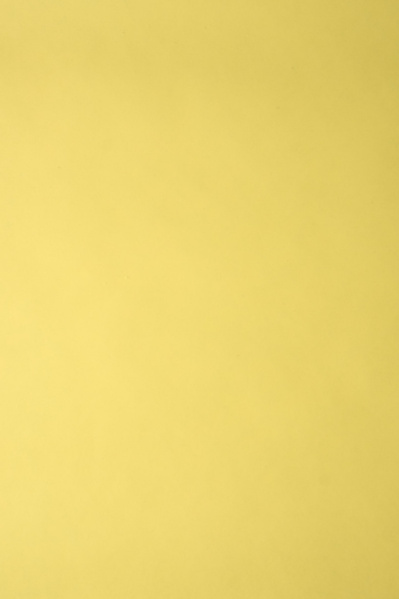yellow photography backdrop to rent in Melbourne