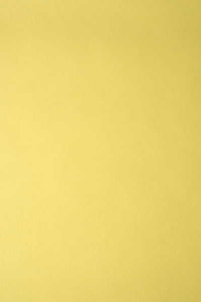yellow photography backdrop to rent in Melbourne