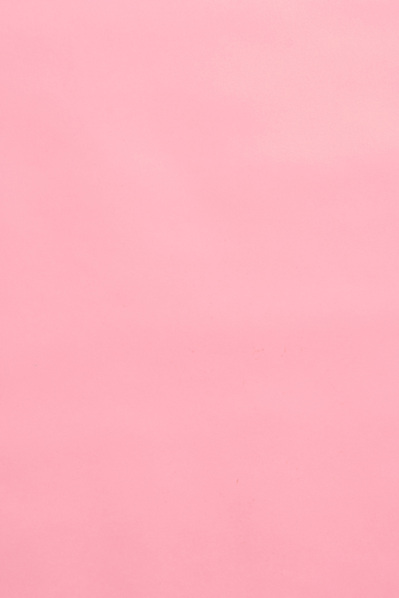 pink photography backdrop to rent in Melbourne