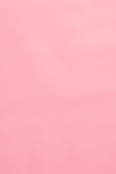 pink photography backdrop to rent in Melbourne