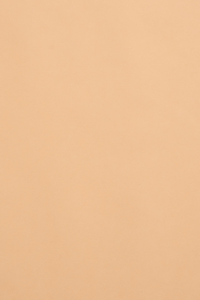 beige photography backdrop to rent in Melbourne