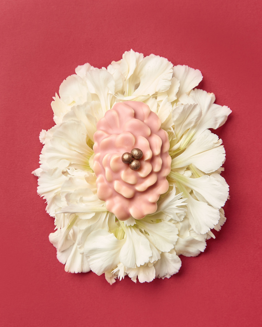 Artful dessert styled as a flower on top of real white petals against a bold red background
