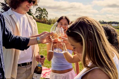 Group of friends clinking wine glasses at outdoor picnic – lifestyle shoot by Marcie Raw, Melbourne photographer
