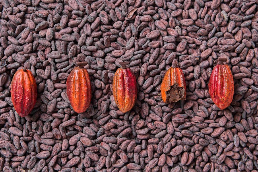 chocolates lying in a row on chocolate beans