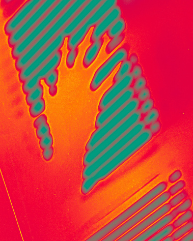 hand blinds shadow triptych