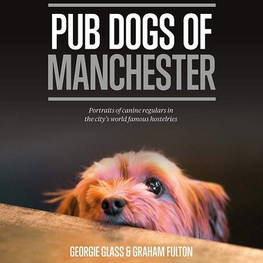 Georgie Glass Photography, Manchester photographer, North West photographer, GG Photo, Pub Dogs of Manchester, Graham Fulton, dog photography