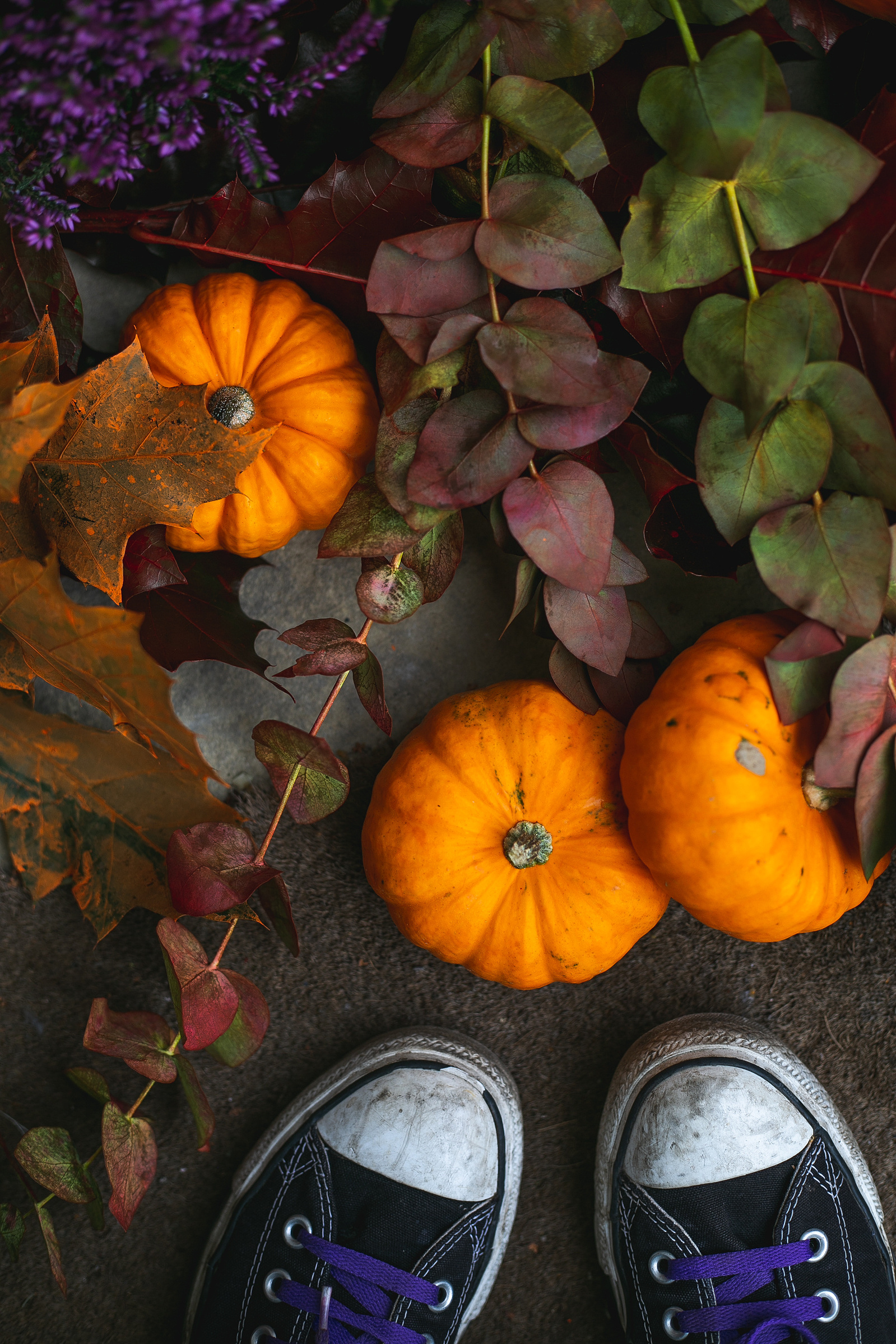 Pumkins and autumn leaves by a pair of trainers shot for The Flower Lounge by Georgie Glass Photography
