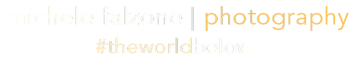 Michele Falzone | Photography - Celebrating Earth's beauty