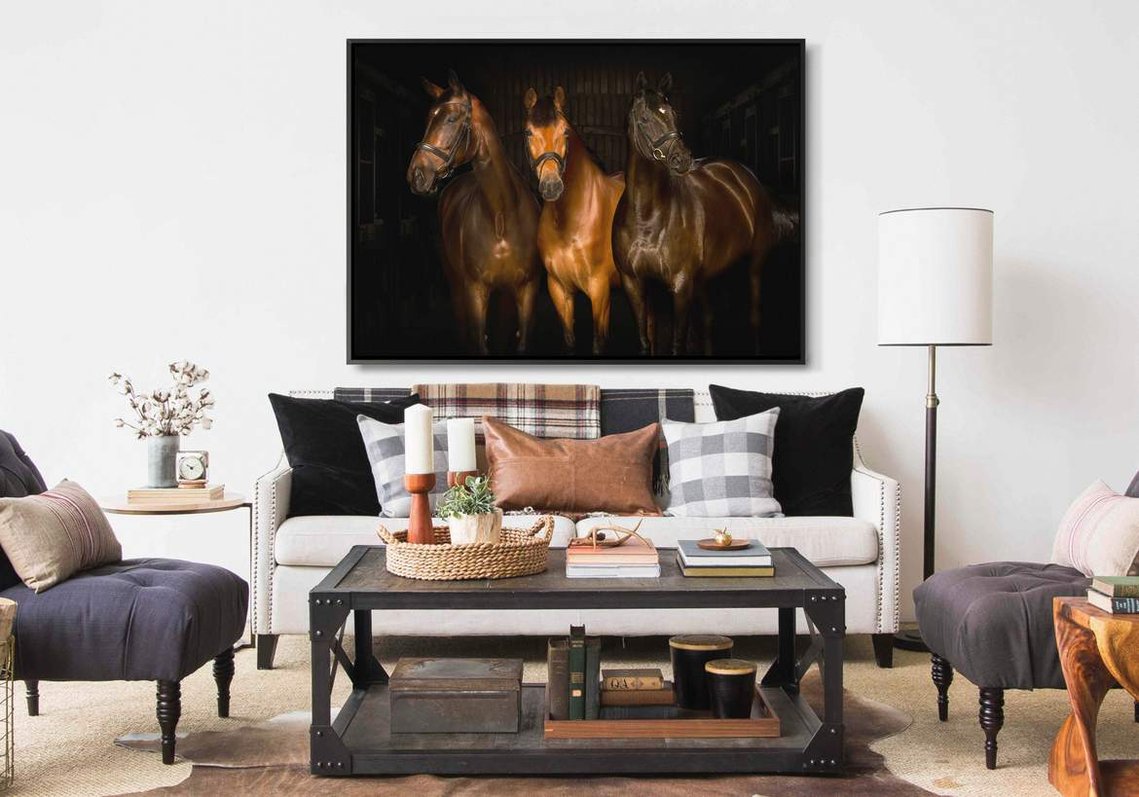 Horse Equestrian Portrait Photography