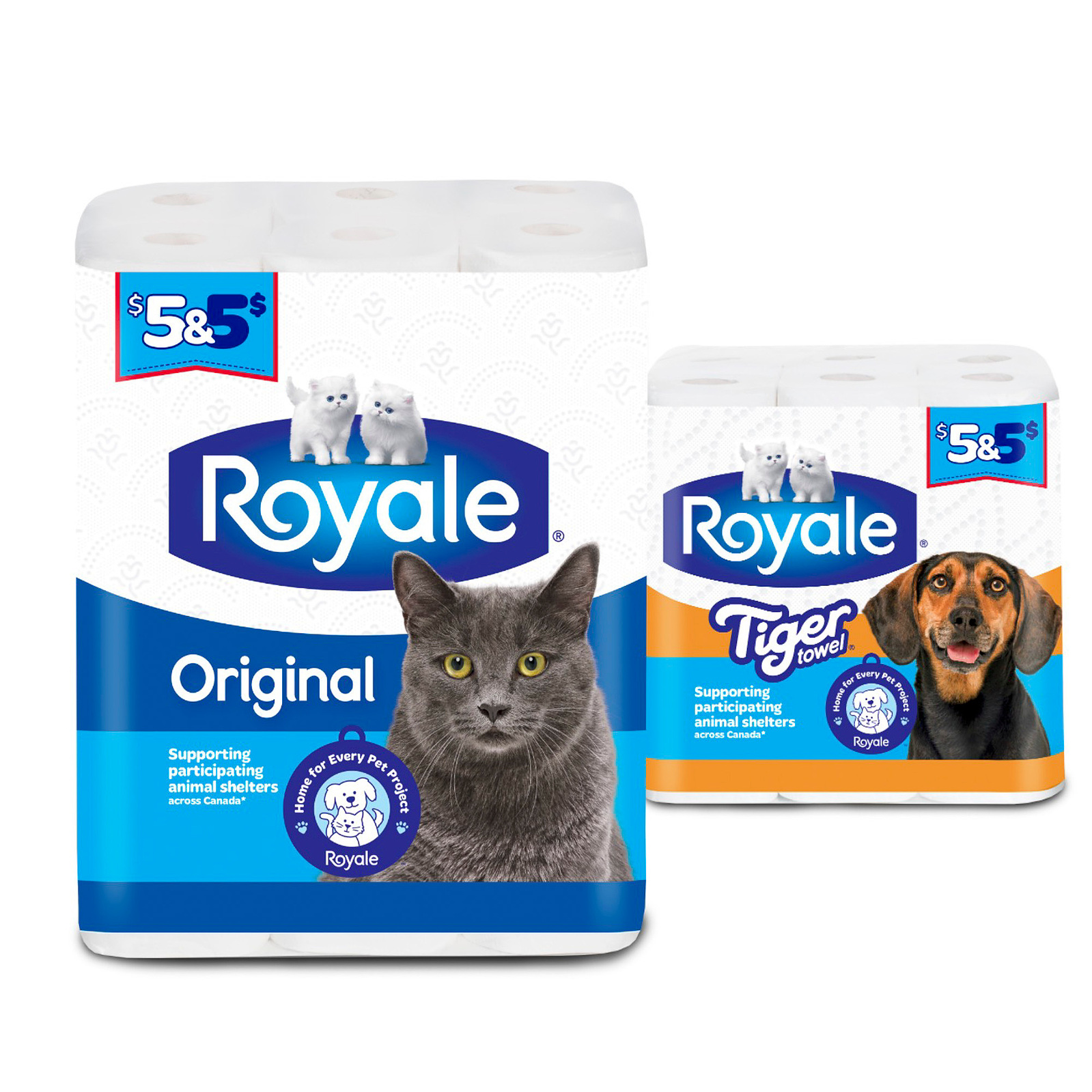 Commercial Pet photographer Canada