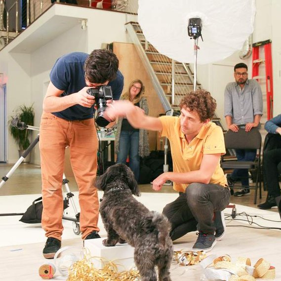 Commercial Pet Photography