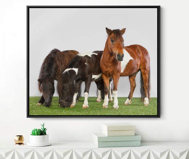 Equestrian Art Ontario