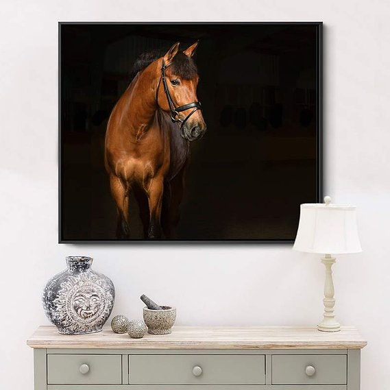 Racing Horse Art Photo