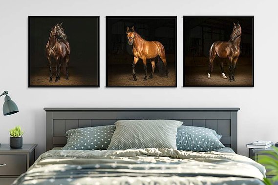 Dressage Horse Art Photo