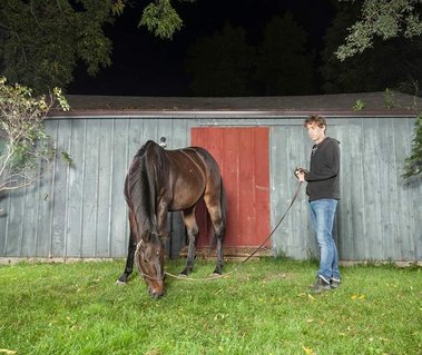 Equestrian Photographer Ontario