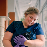 Dr. Miranda Baker holds a black kitten named Happy, in the main cat room of the Humane Rescue Alliance.