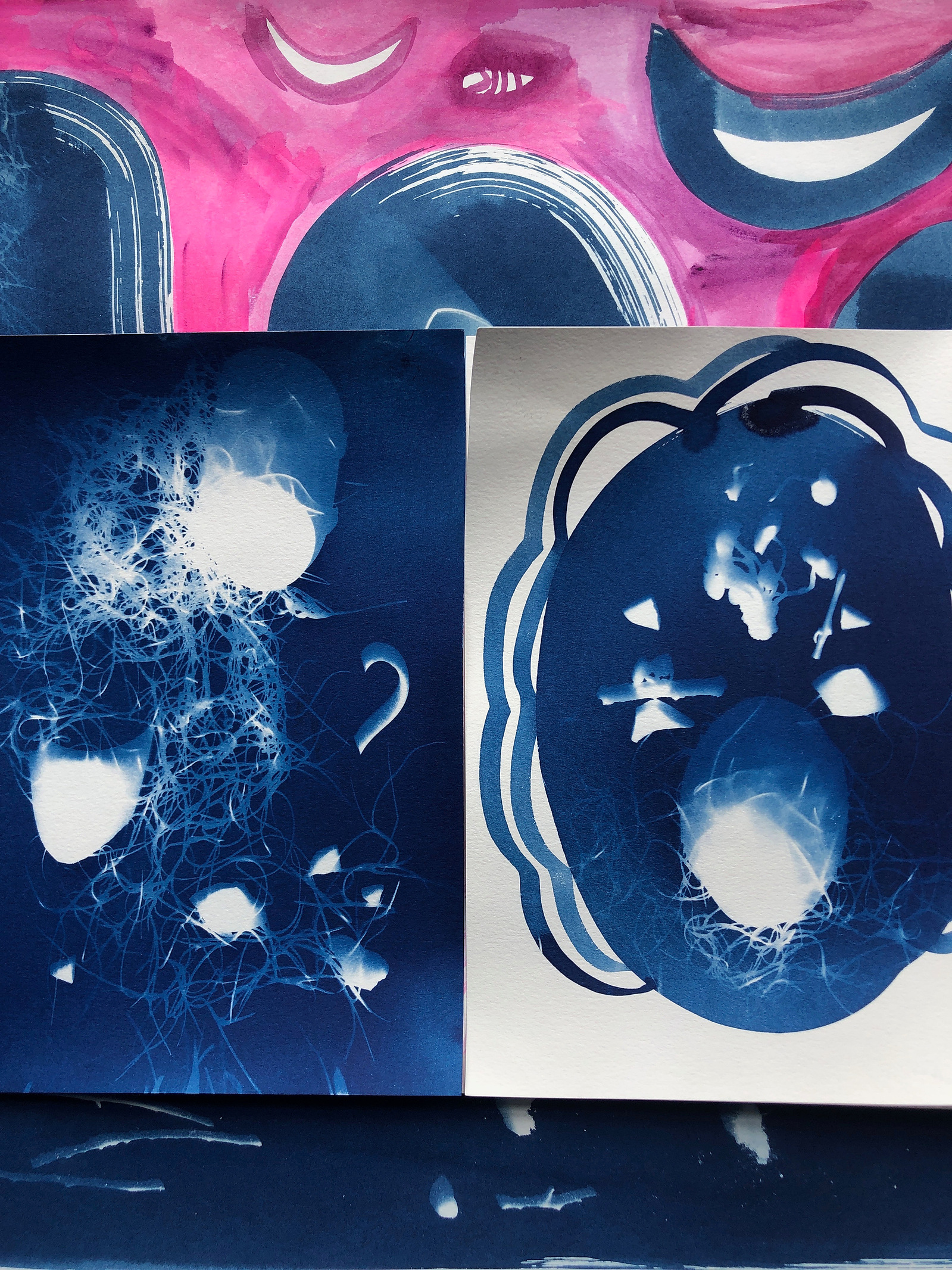 nellie appleby art work, cyanotype on paper with paint