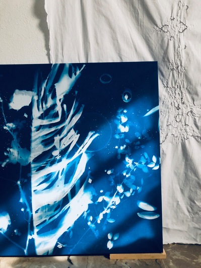 cyanotype art work by nellie appleby