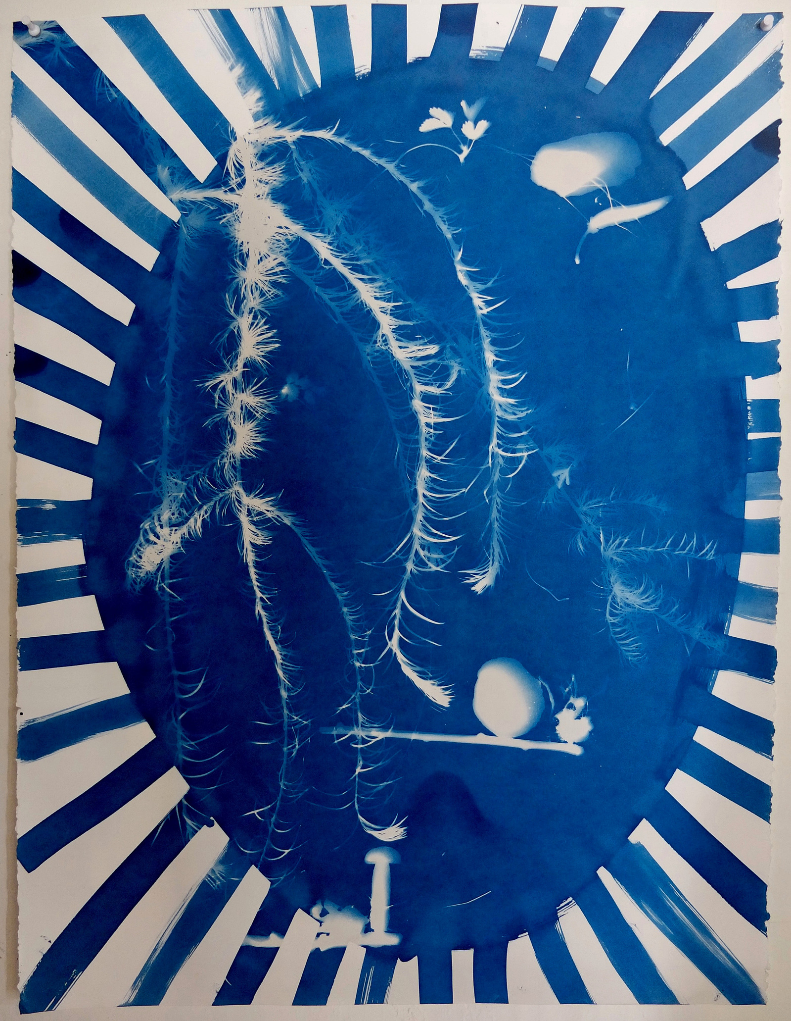 nellie appleby artwork, cyanotype on paper 