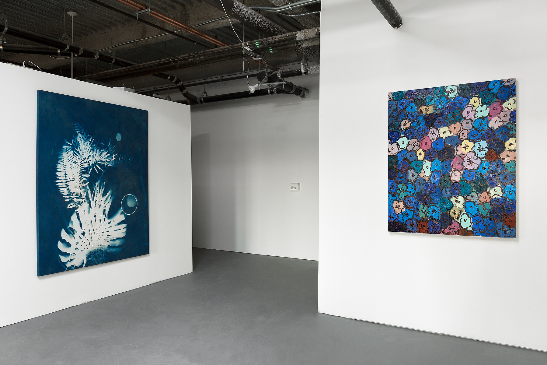 Nellie Apply cyanotype on textile titled 'Oasis' in NYC exhibition at Chasama