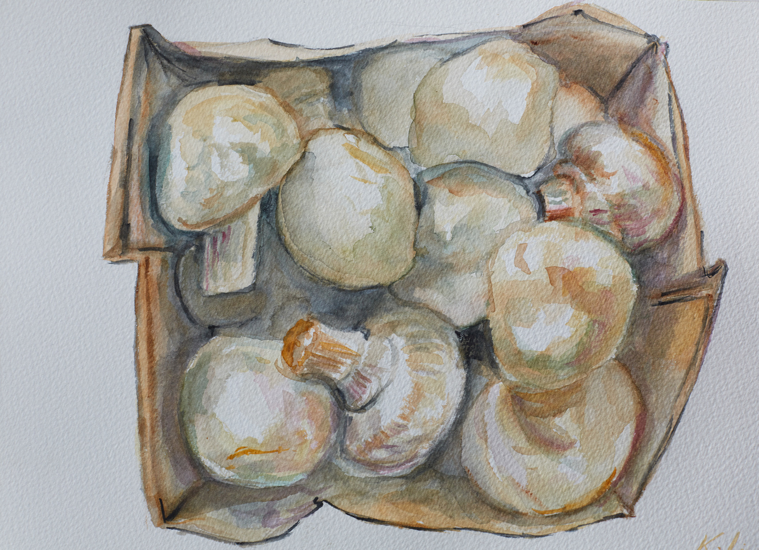 a box of mushroom in watercolour 2019