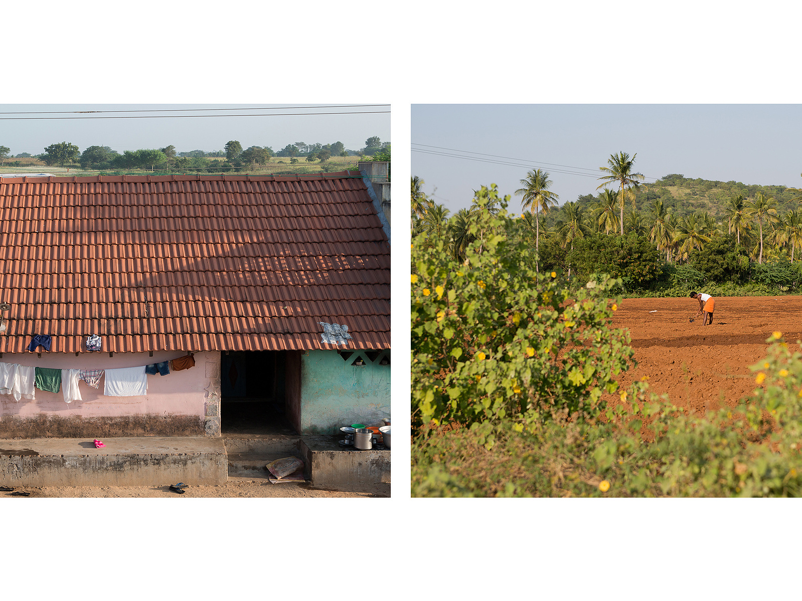 Sumangali Rice Sumangali scheme - India - Alessandro Brasile