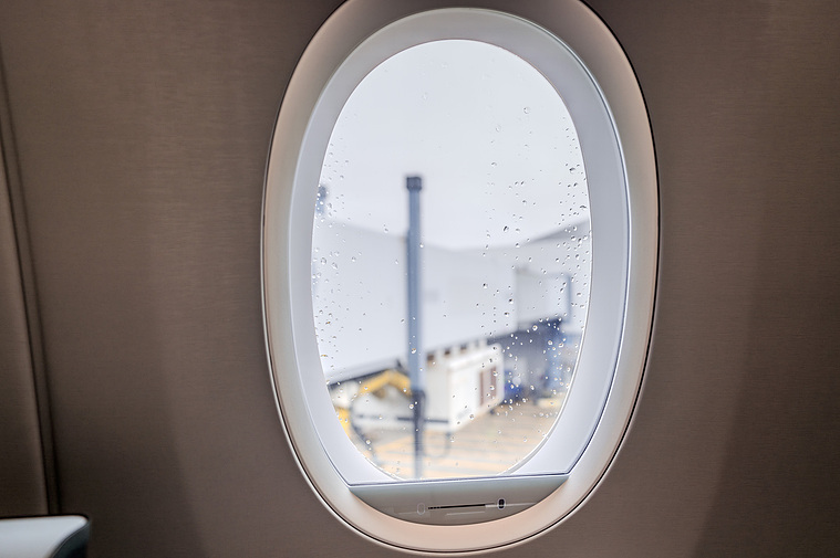 Japan Airlines A350-1000 Business Class Window