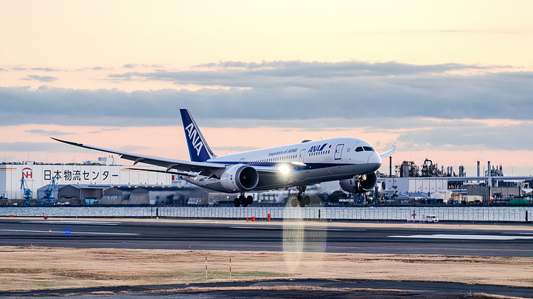 ANA 787-8 JA802A Landing at Haneda Airport (HND)