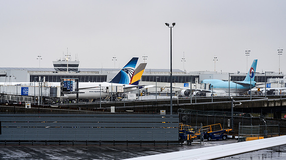 JFK Apron View from Terminal