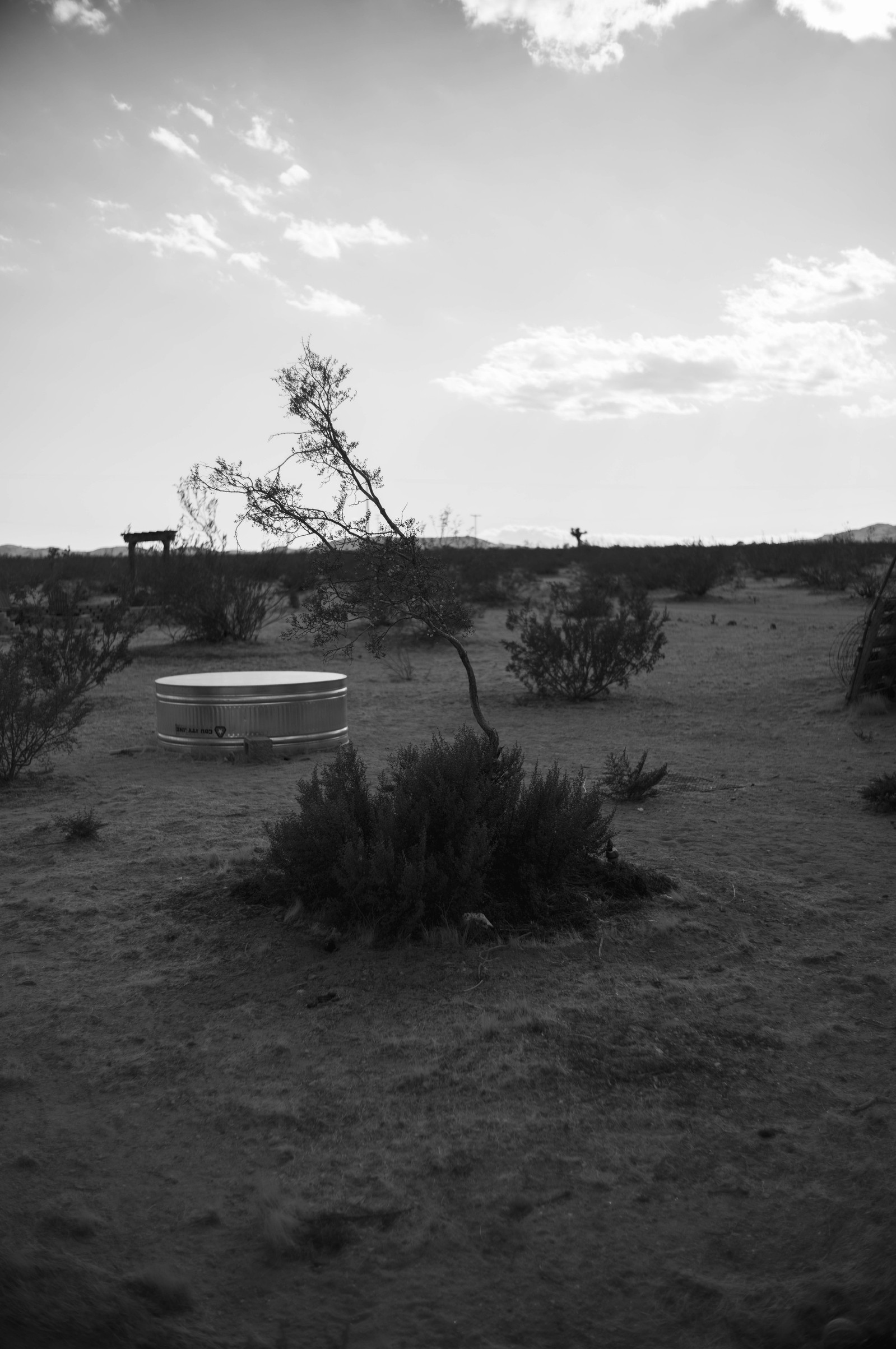 Black and white images from Joshua Tree by Greg Jefferson.