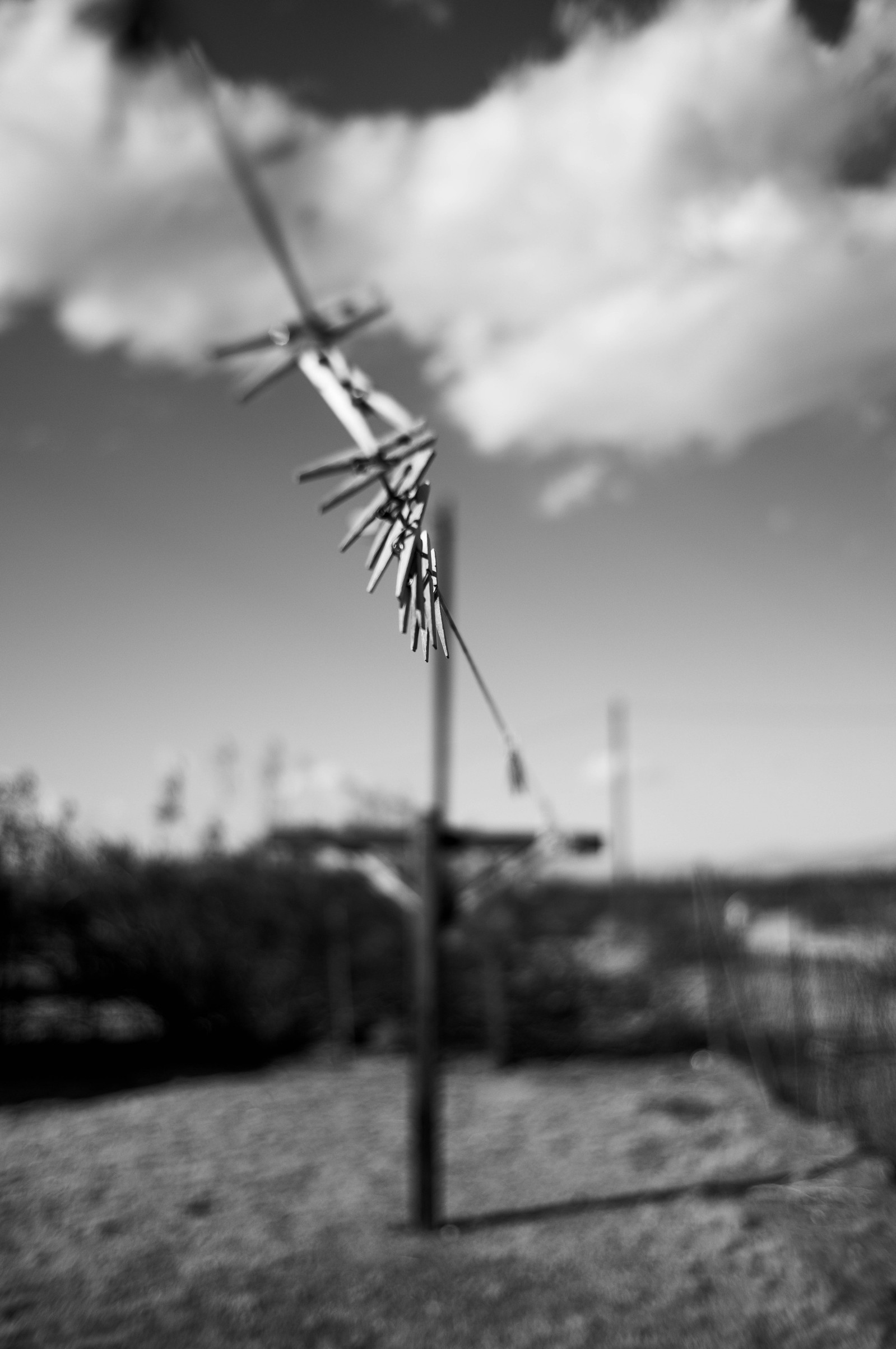 Black and white images from Joshua Tree by Greg Jefferson.