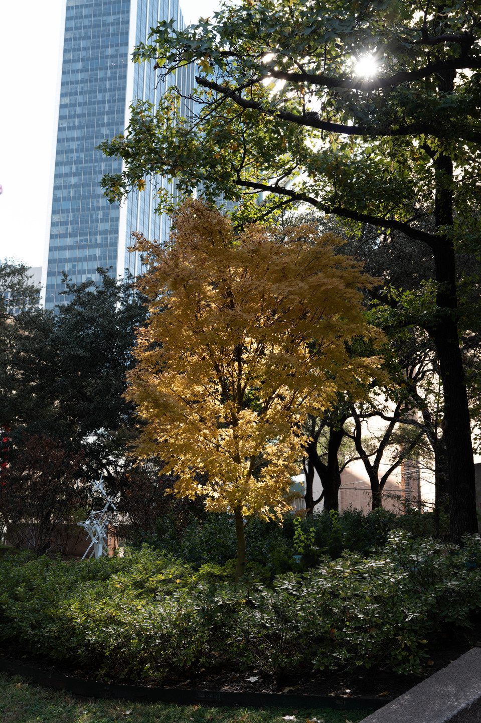 Everyday pictures shot with Leica Q3 43.