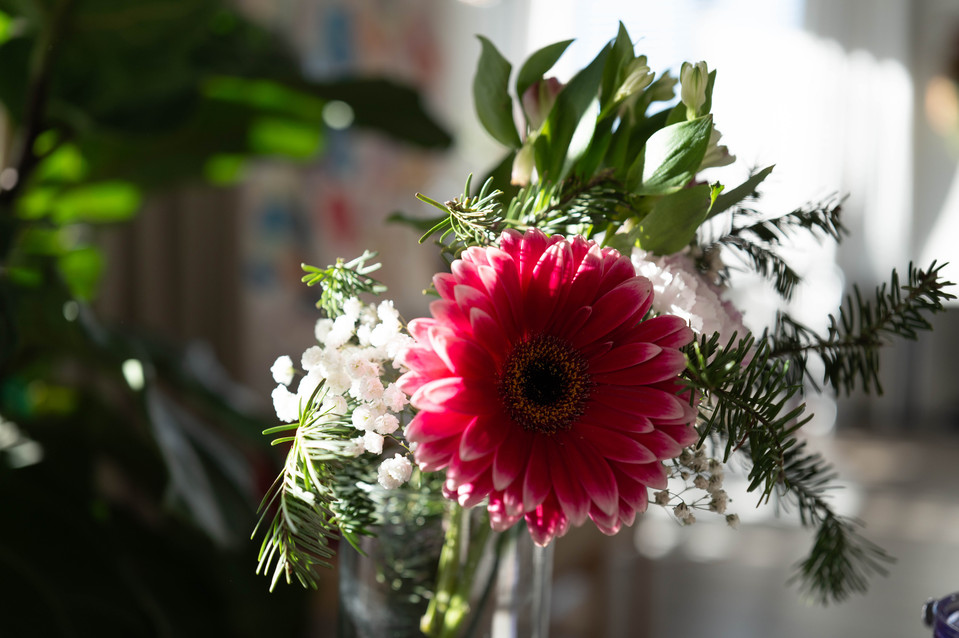 Everyday pictures shot with Leica Q3 43.