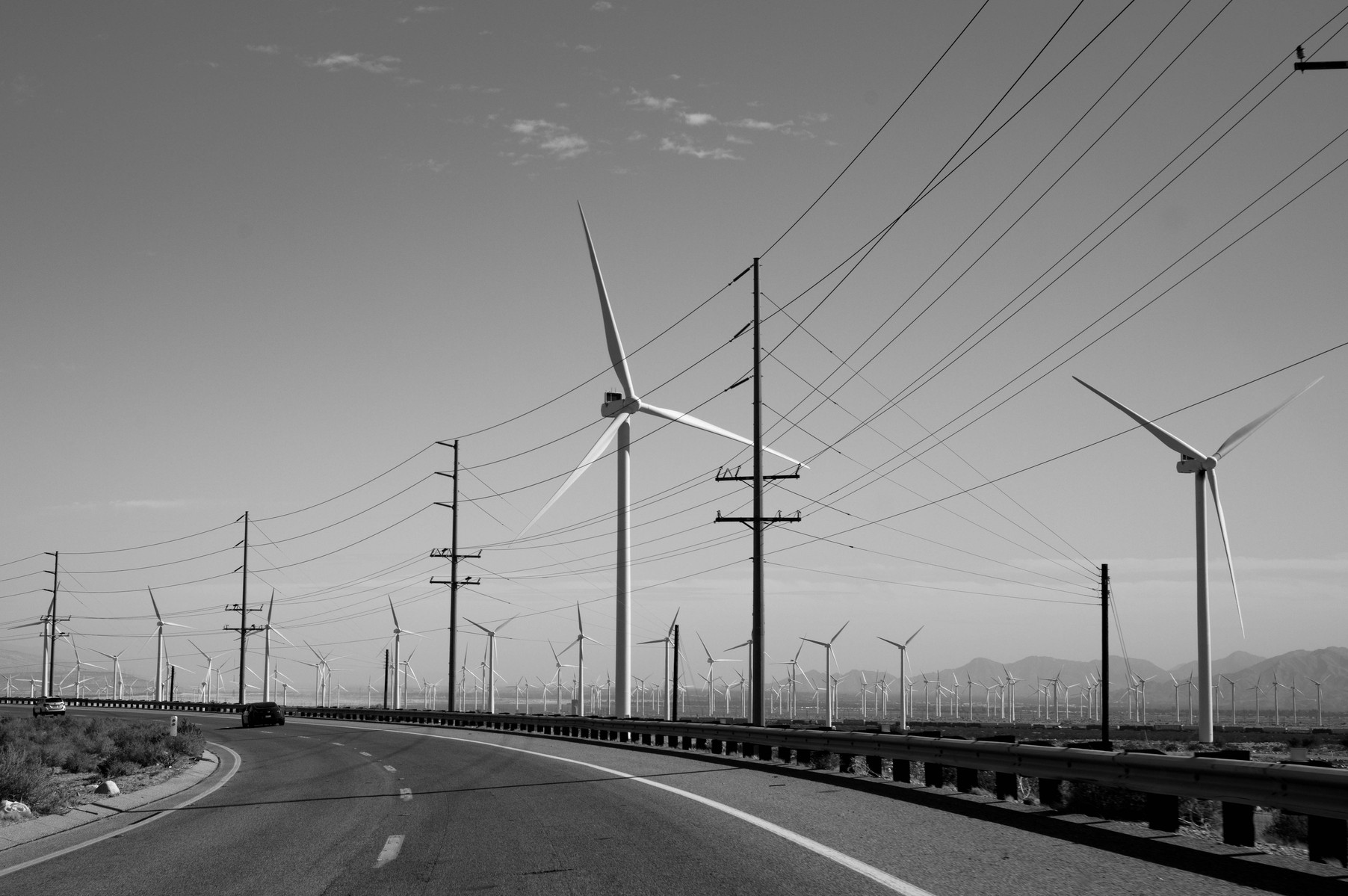 Black and white images from Joshua Tree by Greg Jefferson.