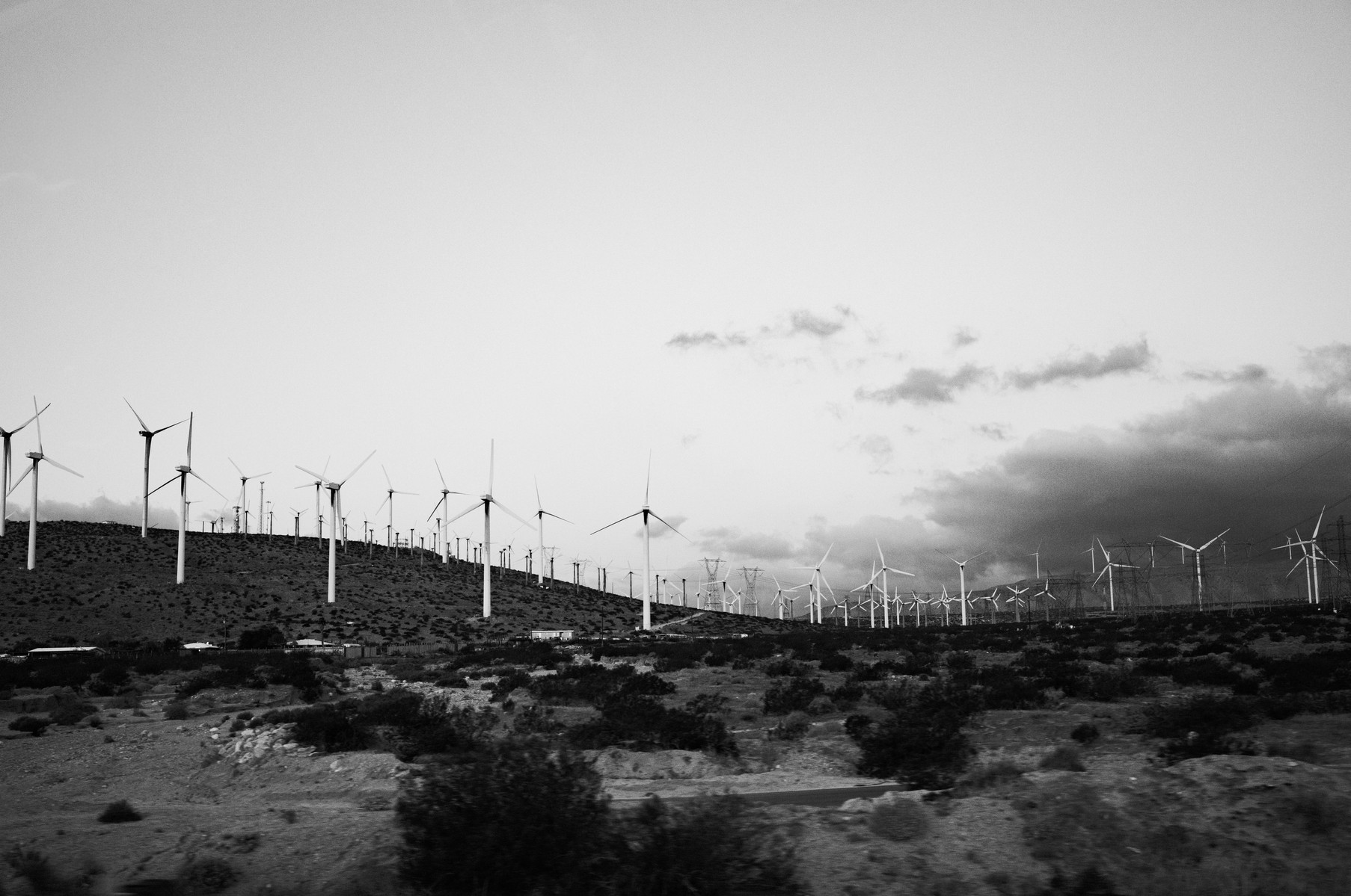 Black and white images from Joshua Tree by Greg Jefferson.