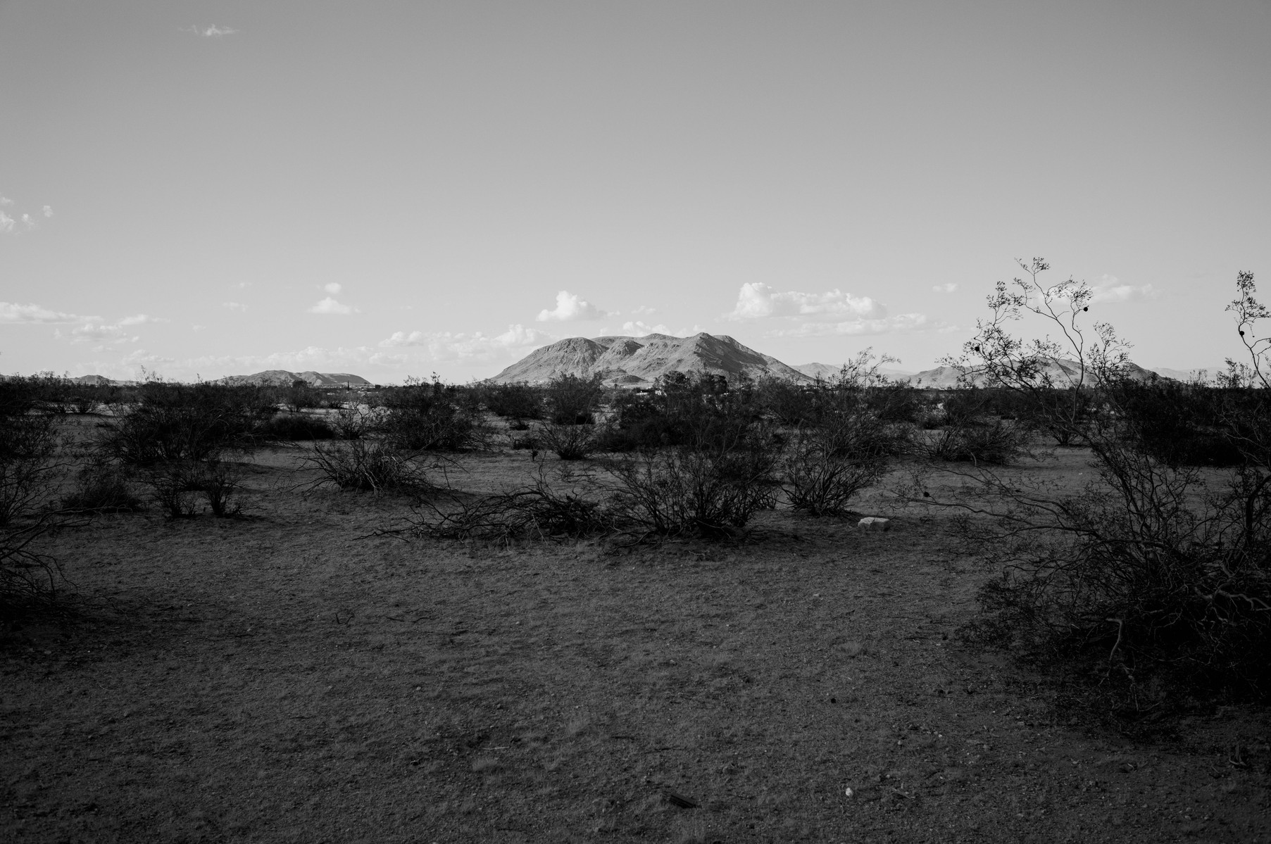 Black and white images from Joshua Tree by Greg Jefferson.