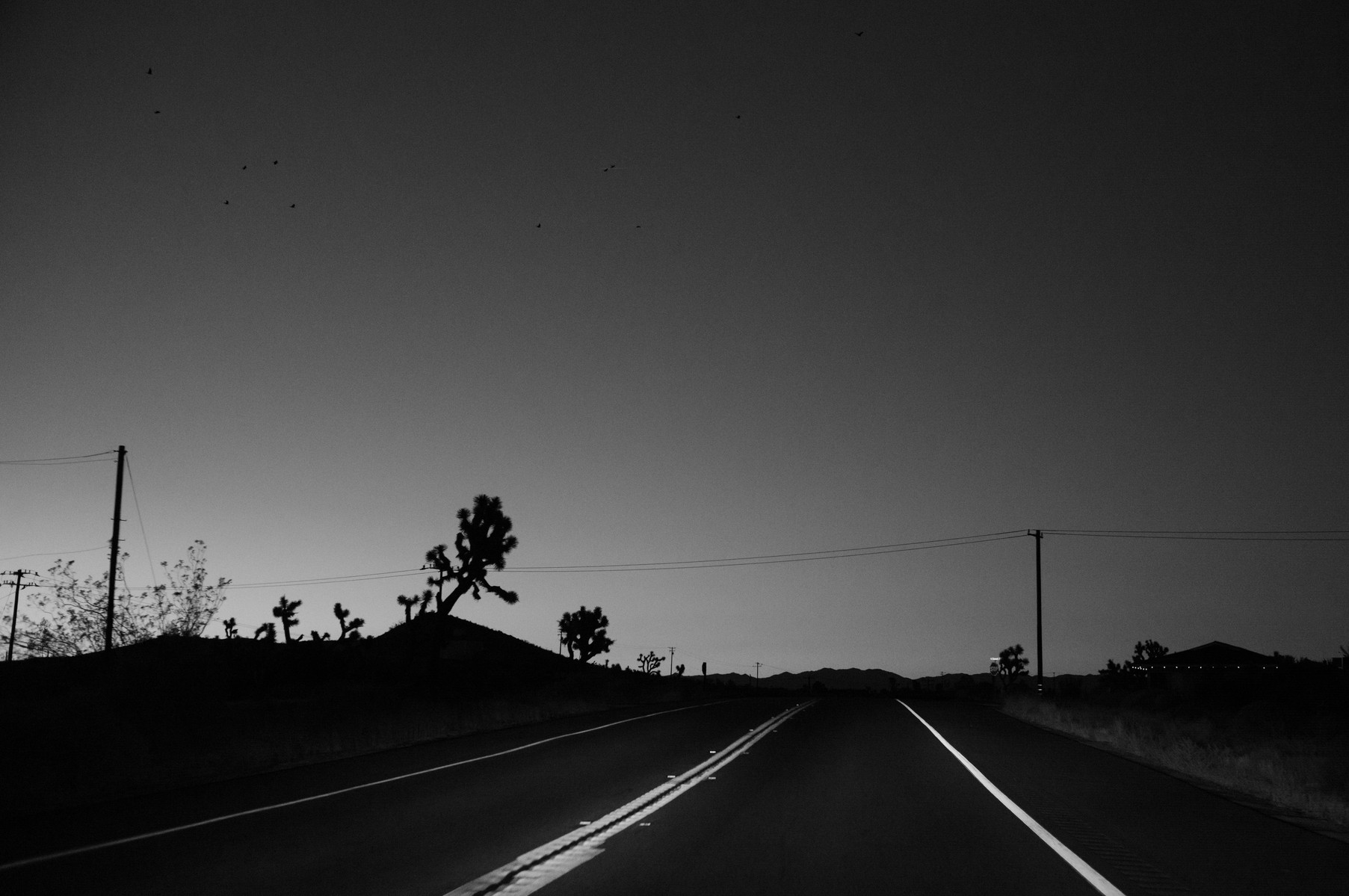 Black and white images from Joshua Tree by Greg Jefferson.