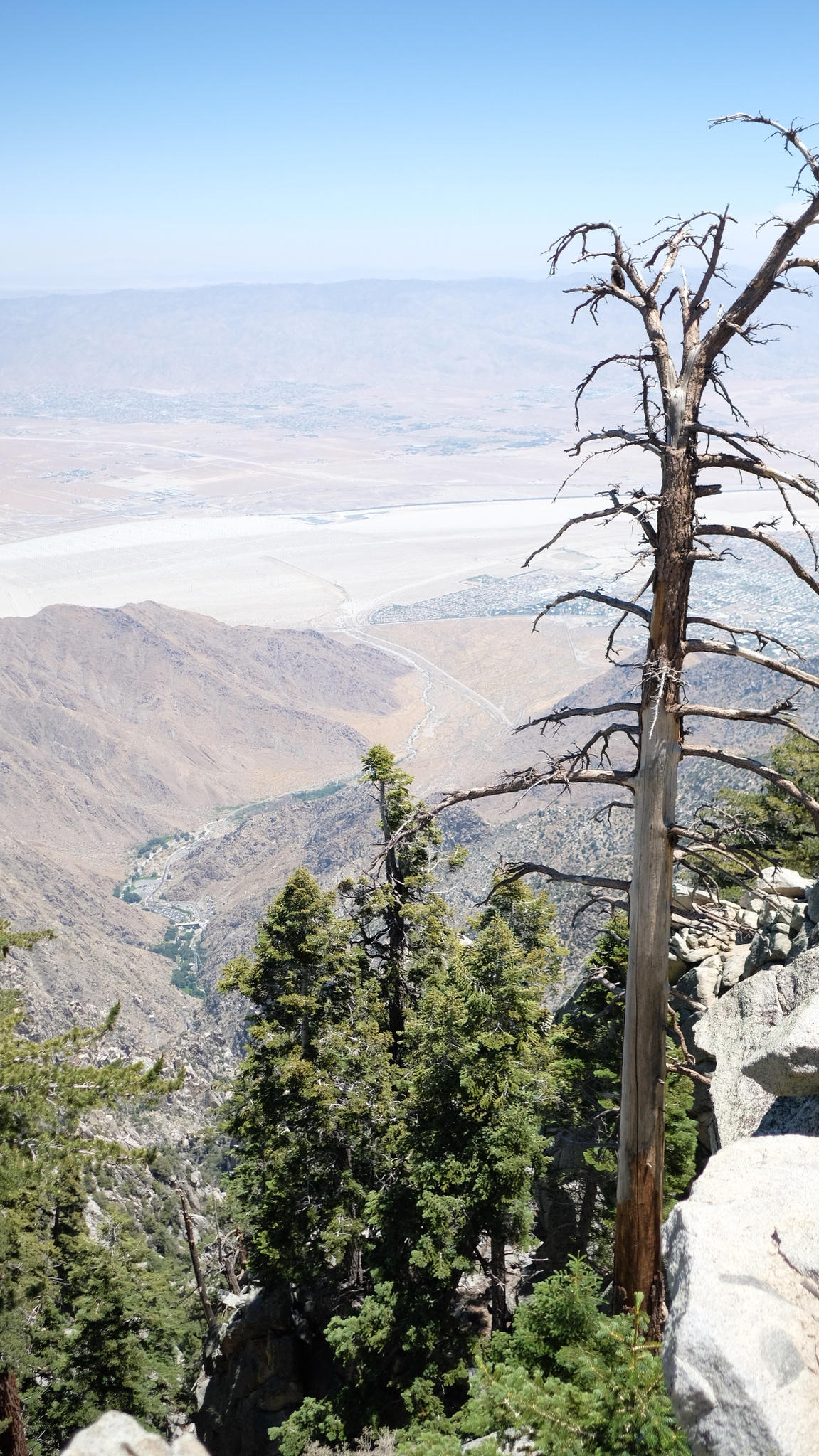 palm springs, aerial tramway, california, san jacinto creek, chino canyon, coachella valley, mountains, love, mother daughter, female, travel, adventure, explore