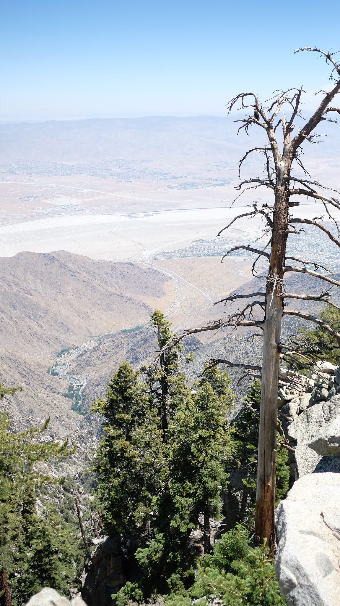 palm springs, aerial tramway, california, san jacinto creek, chino canyon, coachella valley, mountains, love, mother daughter, female, travel, adventure, explore