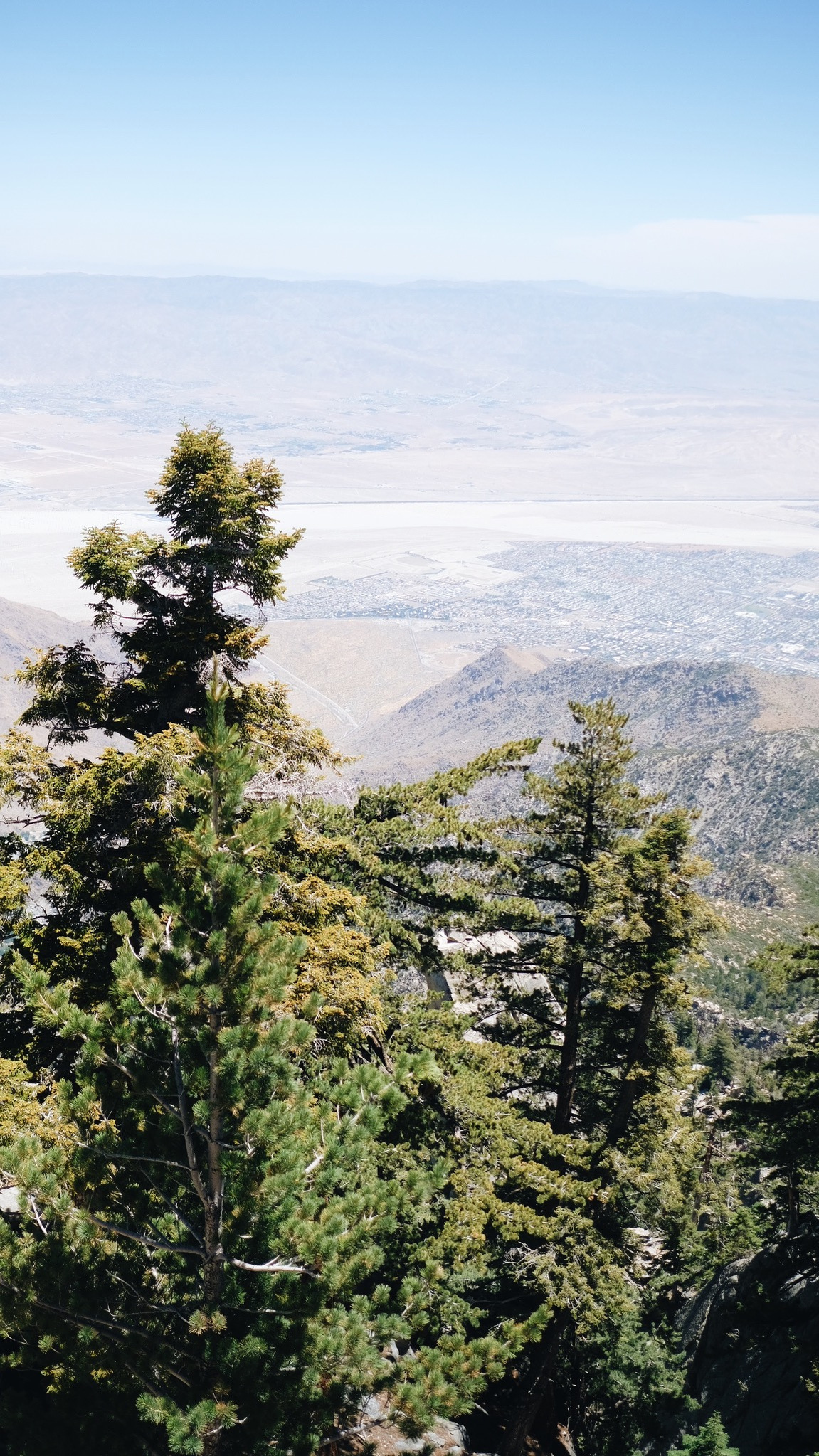 palm springs, aerial tramway, california, san jacinto creek, chino canyon, coachella valley, mountains, love, mother daughter, female, travel, adventure, explore