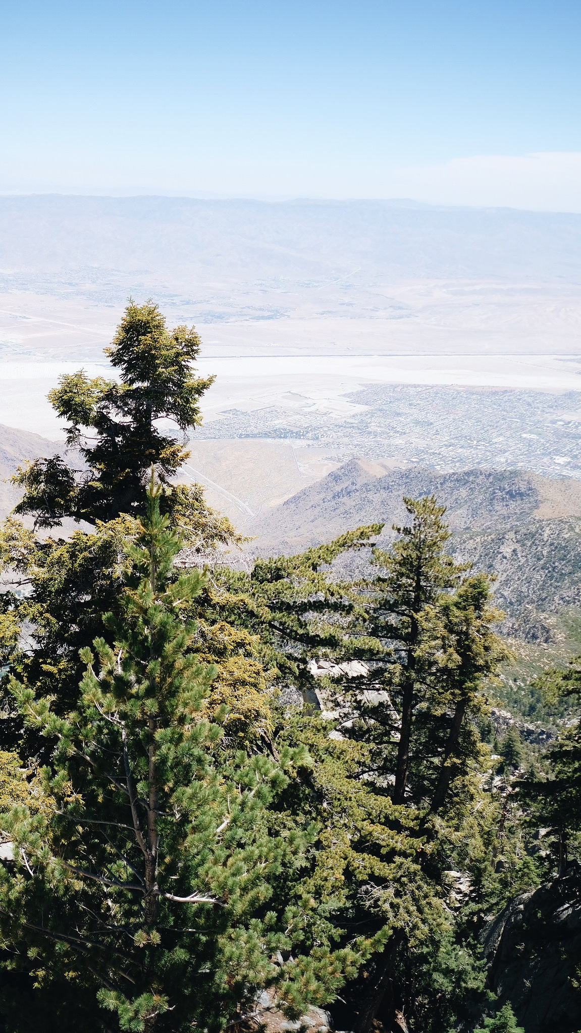 palm springs, aerial tramway, california, san jacinto creek, chino canyon, coachella valley, mountains, love, mother daughter, female, travel, adventure, explore
