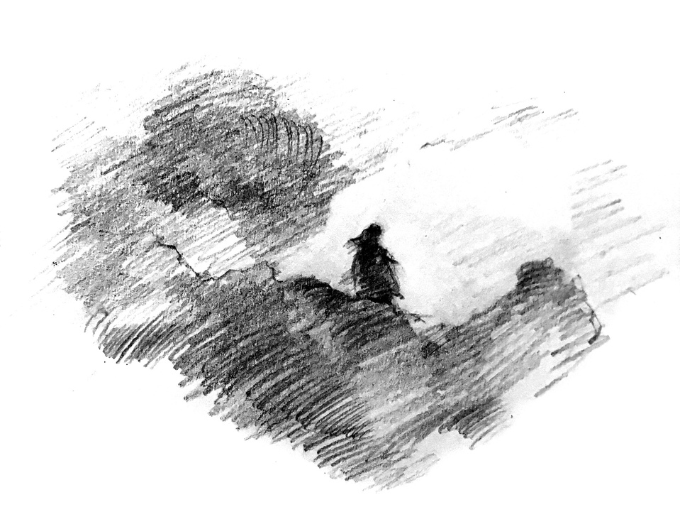 Olivia Di Gregorio | Artist & Illustrator