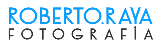 Roberto Raya's Portfolio