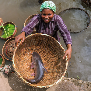 Fresh fish on sale at Epe fish market, Lagos.