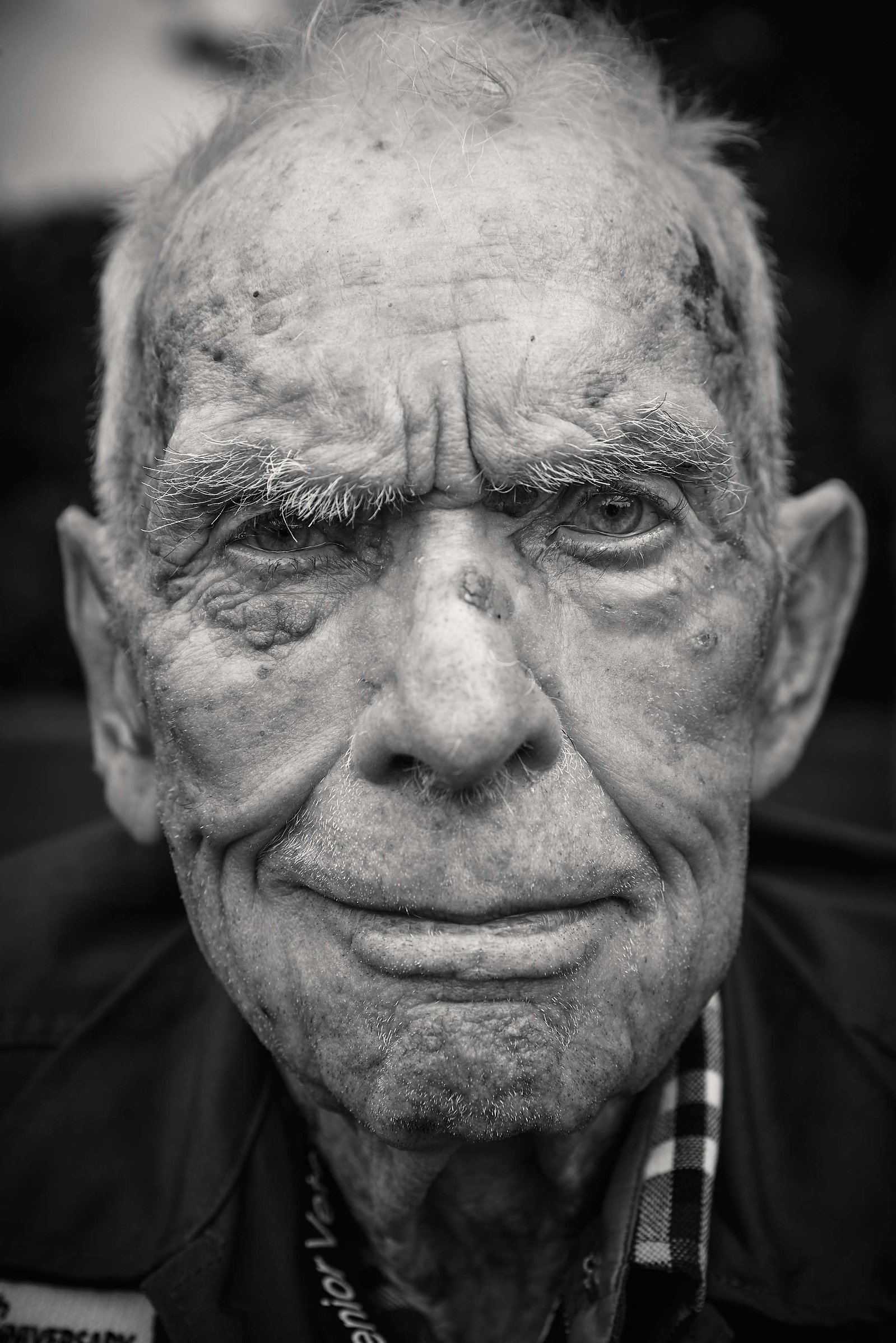 D-DAY VETERANS, FRANCE: American World War II and D-Day veteran Loren Kissick (94 yrs old), from Washington State, U.S. Army, 83rd Infantry Division, 483rd Automatic Weapon Battalion Machine gunner on half track, photographed at the American Cemetery on J