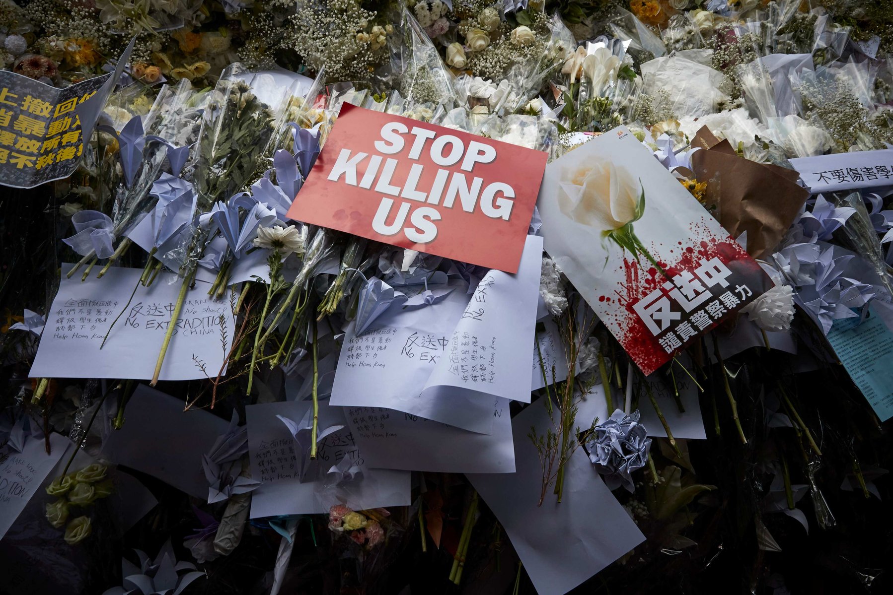 HONG KONG PROTESTS, HONG KONG - JUNE 16, 2019: Protestors lay white flowers, the cantonese symbol of death, as part of a protest against police brutality. Violence between police and protestors has escalated since the start of the protest movement