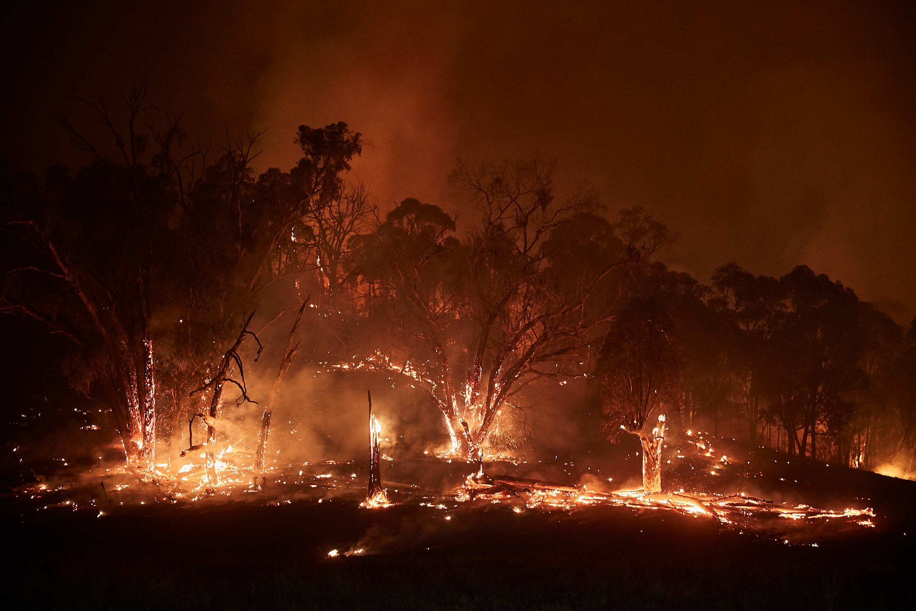 The New South Wales 'Mega' fire, which measures 1.5 million acres, burns at night in the Snowy Mountains. Since blazes broke out in September, Australia has seen unprecedented bushfires destroying over 15 million acres.