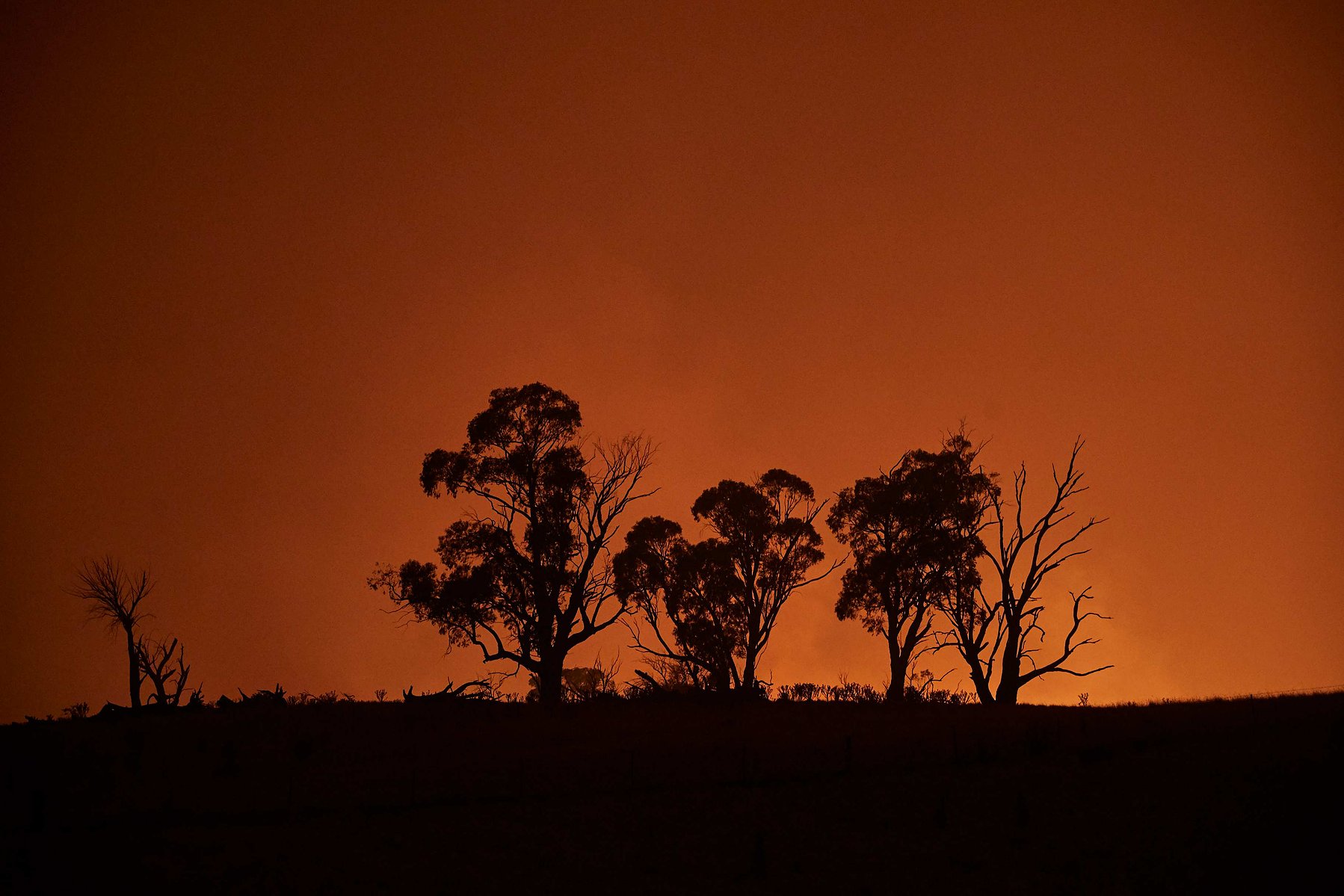 The New South Wales 'Mega' fire, which measures 1.5 million acres, burns on the outskirts of the small town of Tumbarumba in the Snowy Mountains, on 11 January 2019.