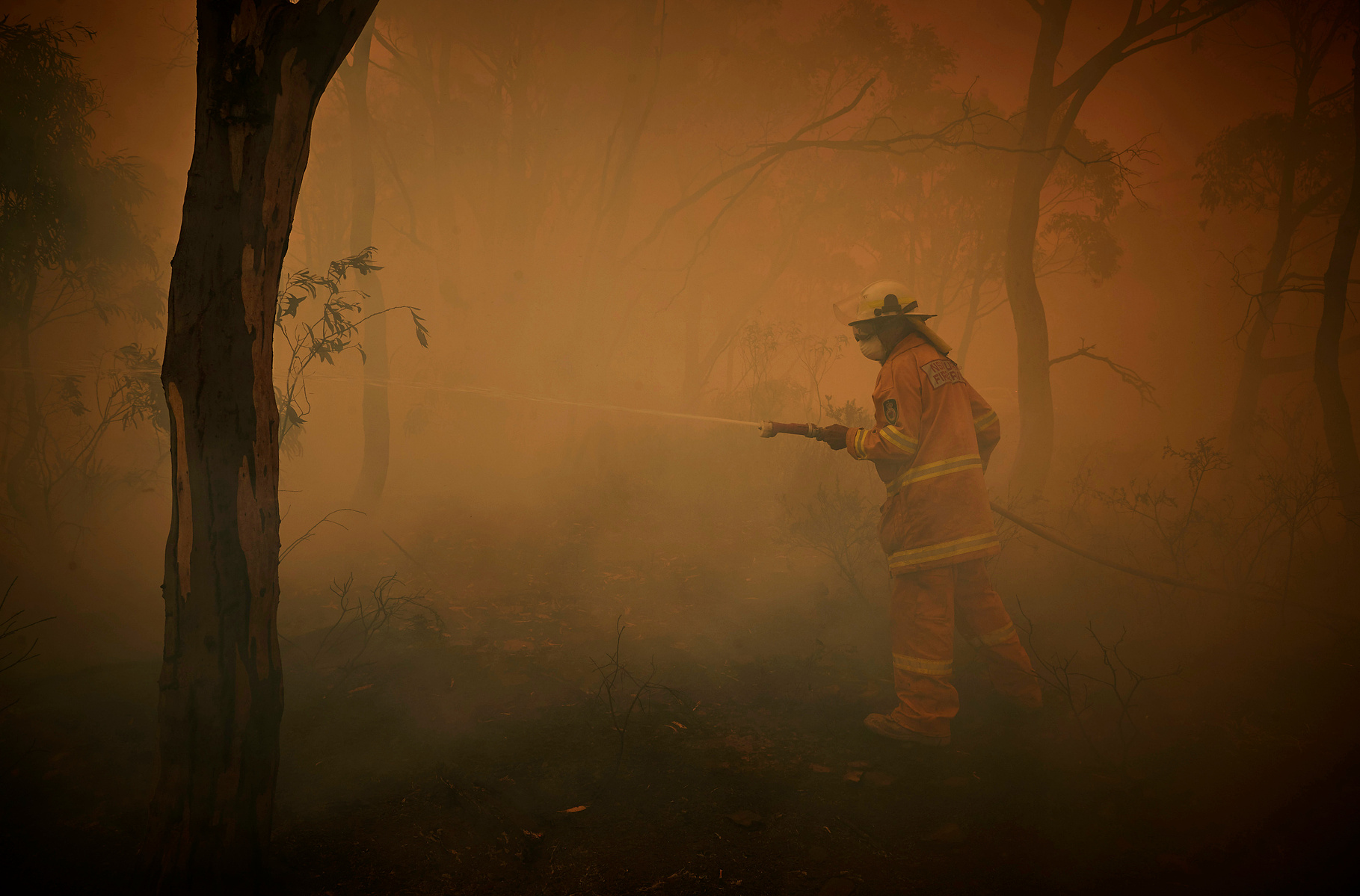 NUMERELLA, AUSTRALIA - JANUARY 13, 2020: Tony Weston, 62, a Rural Fire Service volunteer firefighter sprays trees on fire on the outskirts of the small town of Numerella in New South Wales, on 13 January 2019.
