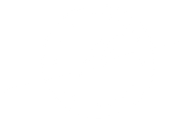 Lizzy Beerman Photography